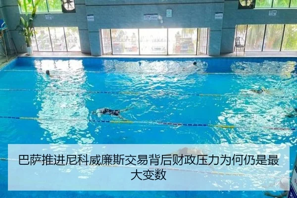 ba-sa-tui-jin-ni-ke-wei-lian-si-jiao-yi-bei-hou-cai-zheng-ya-li-wei-he-reng-shi-zui-da-bian-shu-2-620.jpg