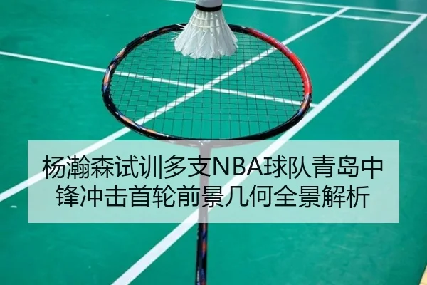 杨瀚森试训多支NBA球队青岛中锋冲击首轮前景几何全景解析